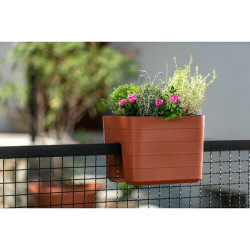 Truhl�k Berberis samozavla�ovac� 30cm r�zne farby