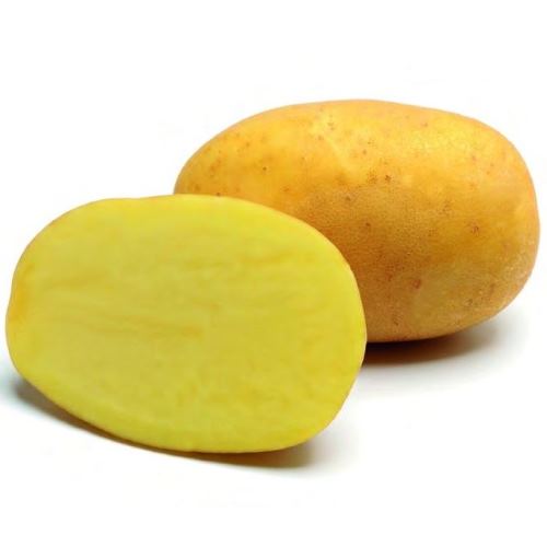 Zemiaky Agria, str. skorá, var. typ BC, rôzne balenie